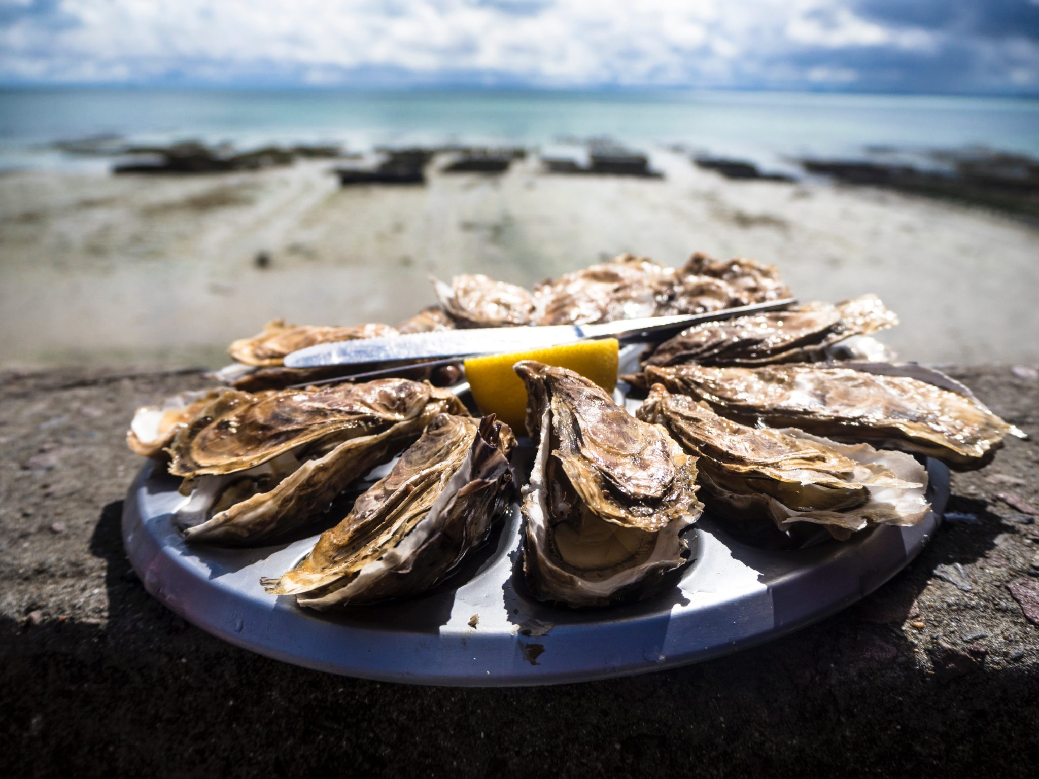 Cancale oysters are on the UNESCO List of Intangible Cultural Heritage. Photo credits: crtb-Tommaso Cantelli-Unsplash
