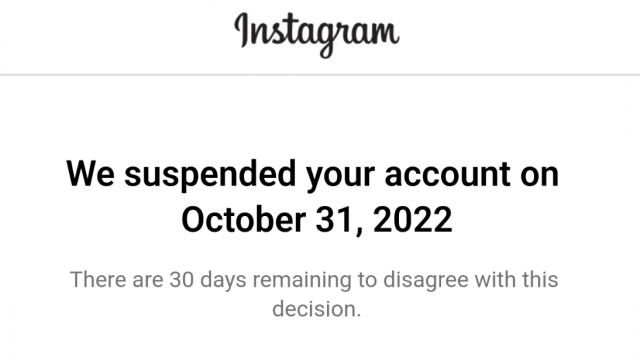instagram accounts